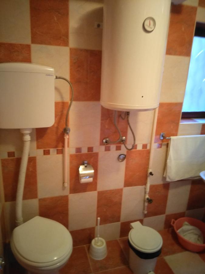 Studio Milojevic Sokobanja Exteriör bild